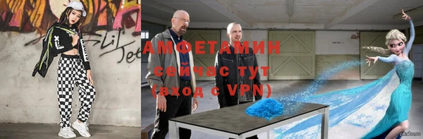 винт Алзамай