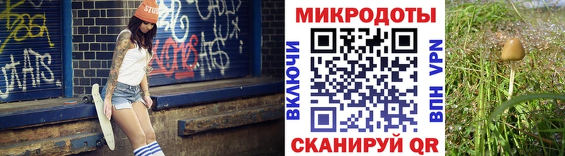 наркотики blacksprut вход Псилоцибиновые грибы Psilocybe Инта